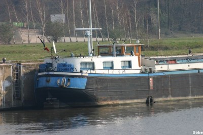 Amigo 04.jpg