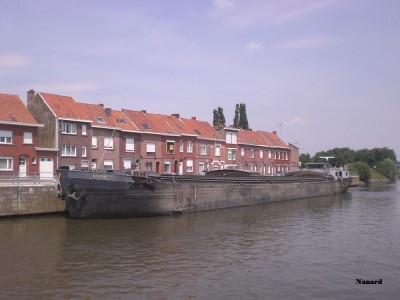 CIMG7992.JPG