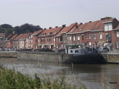 CIMG7997.JPG