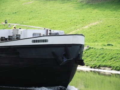 2011_04162010_12050009.JPG (263.75 Kio) Vu 1318 fois 2011_04162010_12050009.JPG