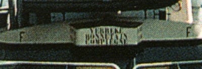 pinzon   .jpg