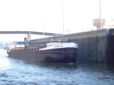 Mauna Kea.jpg (96.39 Kio) Vu 2553 fois Mauna Kea.jpg