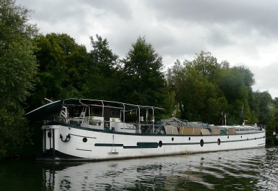 cleome-ar.JPG (296.83 Kio) Vu 2767 fois cleome-ar.JPG