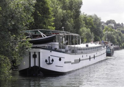 cleome.jpg (243.49 Kio) Vu 2751 fois cleome.jpg