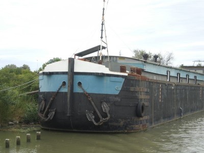 IMGP4730 [800x600].JPG