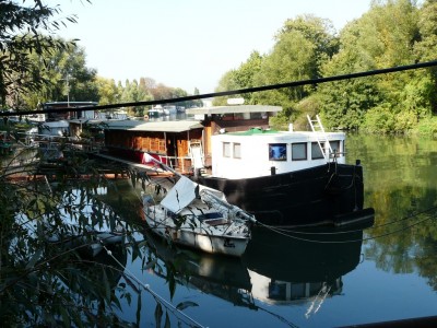 fledermaus-ar.JPG