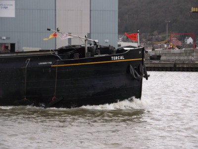 2011_12152010_12050004.JPG (201.21 Kio) Vu 2375 fois 2011_12152010_12050004.JPG