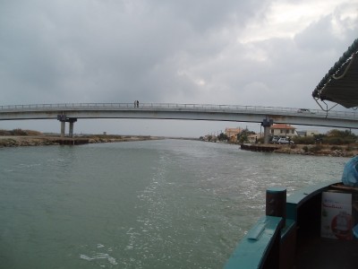 006.JPG (136.69 Kio) Vu 8107 fois 006.JPG