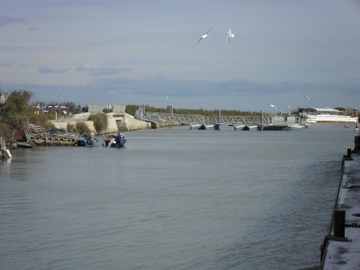 010.JPG (239.76 Kio) Vu 7815 fois 010.JPG