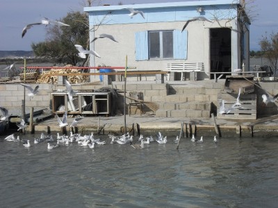 011.JPG (295.83 Kio) Vu 8098 fois 011.JPG