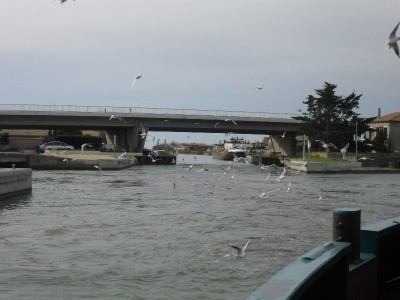 032.JPG (257.54 Kio) Vu 8107 fois 032.JPG