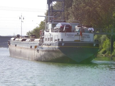 IMGP2443 [800x600].JPG