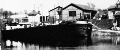 auxerrois - 3.jpg (196.88 Kio) Vu 3143 fois auxerrois - 3.jpg