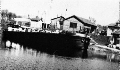 auxerrois.jpg (299.93 Kio) Vu 3057 fois auxerrois.jpg