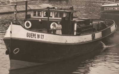 02 - GUEPE 77.jpg (452.45 Kio) Vu 2604 fois 02 - GUEPE 77.jpg