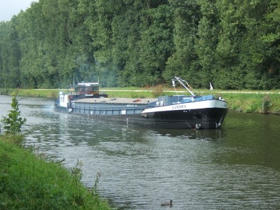 2007_0831x20018.JPG (259.79 Kio) Vu 1530 fois 2007_0831x20018.JPG