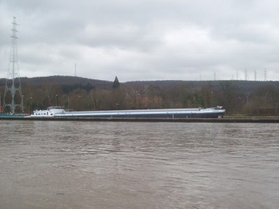 81.jpg