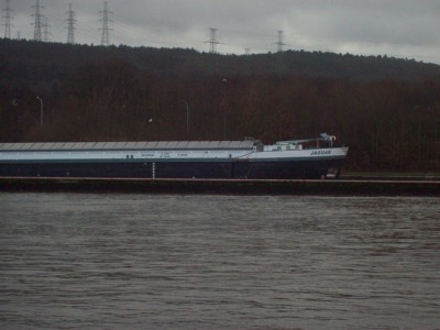 82.jpg