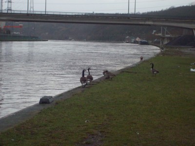 71.jpg (98.65 Kio) Vu 5557 fois 71.jpg