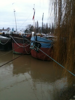 IMG_0442.JPG (153.22 Kio) Vu 1738 fois IMG_0442.JPG