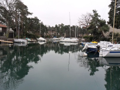 ripaille (5).JPG (153.08 Kio) Vu 1435 fois ripaille (5).JPG