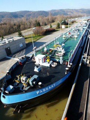 DSCF1062 (Copier).JPG (105.26 Kio) Vu 7398 fois DSCF1062 (Copier).JPG