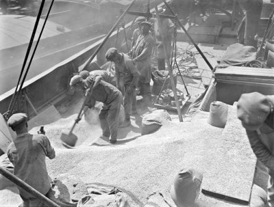 29.jpg (131.89 Kio) Vu 2798 fois 29.jpg