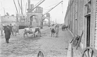 26.jpg (105.52 Kio) Vu 2876 fois 26.jpg