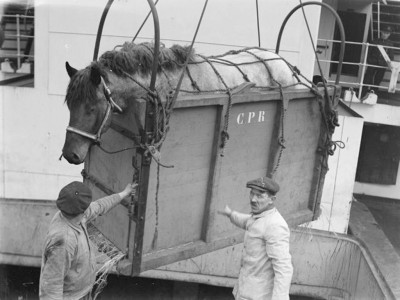 25.jpg (99.42 Kio) Vu 2876 fois 25.jpg