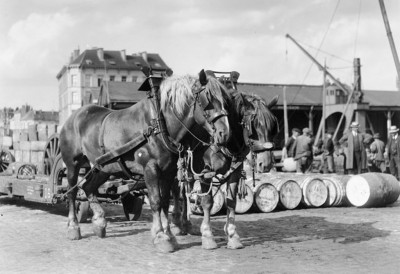 17.jpg (104.95 Kio) Vu 2798 fois 17.jpg