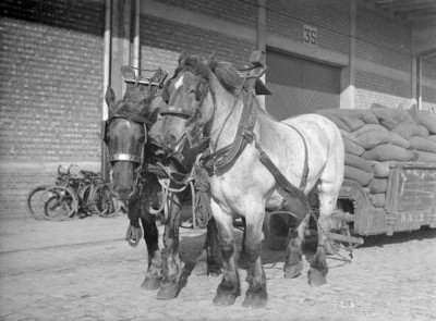 8.jpg (108.79 Kio) Vu 2791 fois 8.jpg