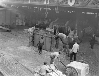 5 .jpg (103.33 Kio) Vu 2875 fois 5 .jpg