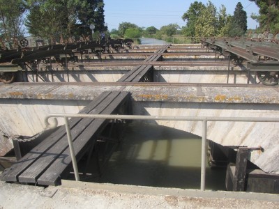 VACANCES PORTIRAGNE AOUT 2009 020.jpg (186.7 Kio) Vu 1024 fois VACANCES PORTIRAGNE AOUT 2009 020.jpg