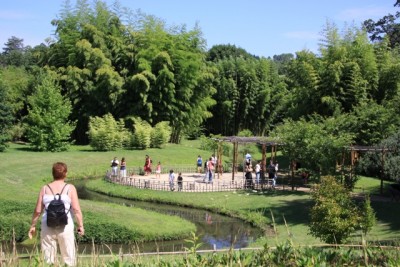 020.JPG (252.9 Kio) Vu 1457 fois 020.JPG