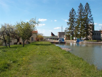 4 grands sapins 24 avril 2004.JPG (698.25 Kio) Vu 4270 fois 4 grands sapins 24 avril 2004.JPG