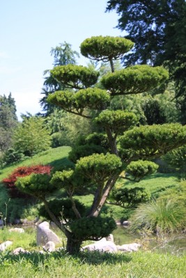 033.JPG (239.13 Kio) Vu 1457 fois 033.JPG