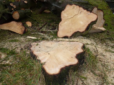 P1020179.JPG (306.53 Kio) Vu 4284 fois P1020179.JPG