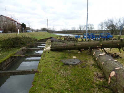 P1020180.JPG (243.89 Kio) Vu 4270 fois P1020180.JPG