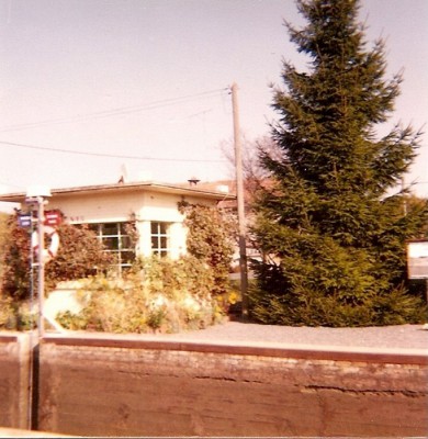 2 grand sapin.jpg (137.65 Kio) Vu 4269 fois 2 grand sapin.jpg