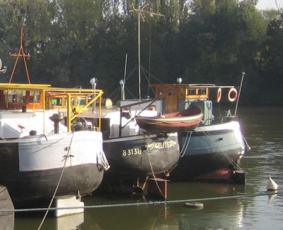 fort+franturn+denestra+elite+marinca-ar.JPG (150.66 Kio) Vu 1754 fois fort+franturn+denestra+elite+marinca-ar.JPG