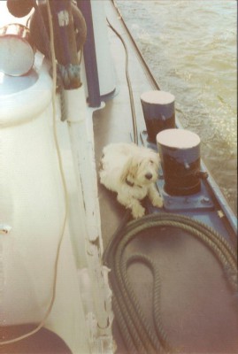 199.jpg (71.93 Kio) Vu 3230 fois 199.jpg