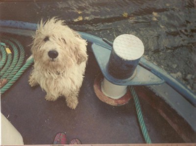 203.jpg (79.13 Kio) Vu 3230 fois 203.jpg