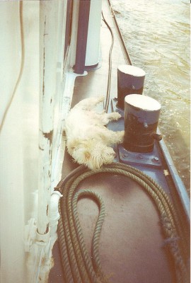 222.jpg (109.46 Kio) Vu 3230 fois 222.jpg