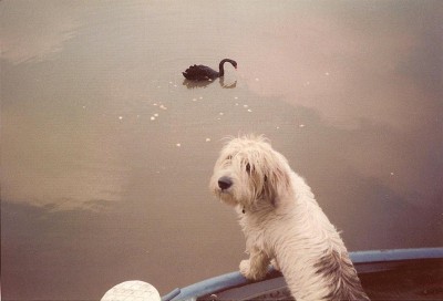 224.jpg (91.27 Kio) Vu 3230 fois 224.jpg