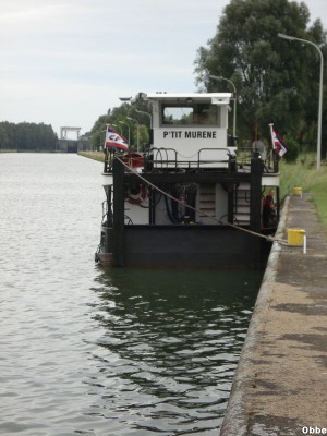 P'tit Murene 01.JPG