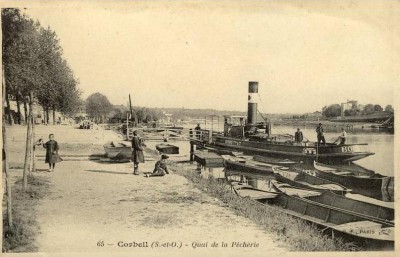 Bouvreuil - 2.JPG (77.87 Kio) Vu 2824 fois Bouvreuil - 2.JPG