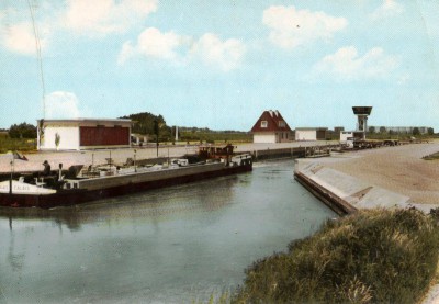 watten-calais-CP-renard.jpg