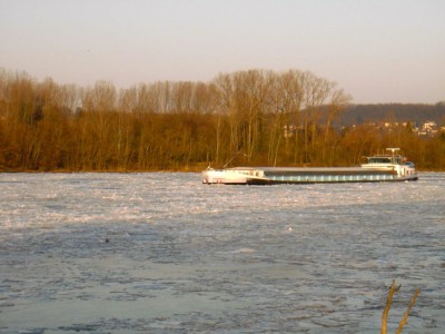 P2100010.JPG