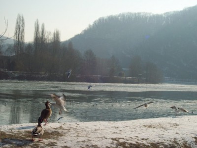 178.jpg (99.04 Kio) Vu 5462 fois 178.jpg