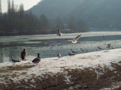 179.jpg (123.82 Kio) Vu 5524 fois 179.jpg